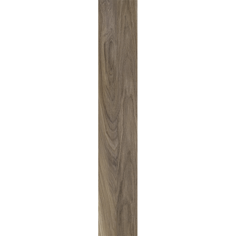 LIBECCIO TORTORA